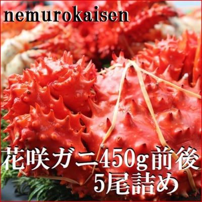 【北海道根室産】花咲ガニ450g×5尾 C-57050