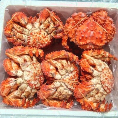【北海道根室産】花咲ガニ10尾(計3.5kg前後) C-57052