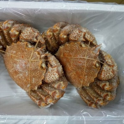 【北海道根室産】毛がに2尾(計700g前後) C-57056