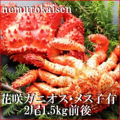 【北海道根室産】花咲ガニ(オス・メス)各1尾(計1.5kg前後) D-57041