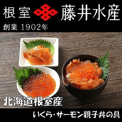 【北海道根室産】＜鮭匠ふじい＞いくら・サーモン親子丼の具 D-42044