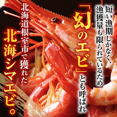 【北海道根室産】ボイル北海シマエビ600g B-42086