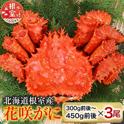 【北海道根室産】花咲かに300g前後～450g前後×3尾 A-36001