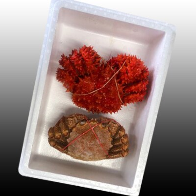 毛かに400～550g・花咲300～450g前後 B-36042