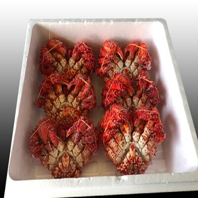 【北海道根室産】花咲かに300g～450g前後×6尾 C-36005