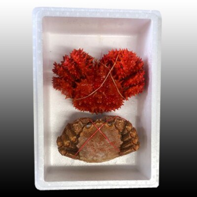 毛かに400～550g・花咲500～650g前後 C-70070