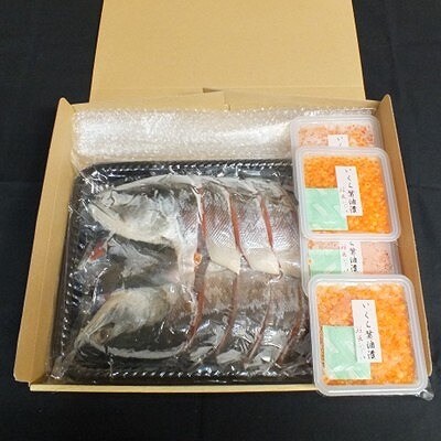 紅鮭姿切り1.5kg・いくら醤油漬け100g×4P F-42014