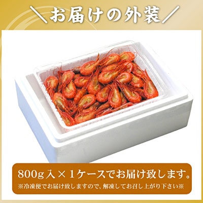 【北海道根室産】北海シマエビ800g(80～130尾) A-56014