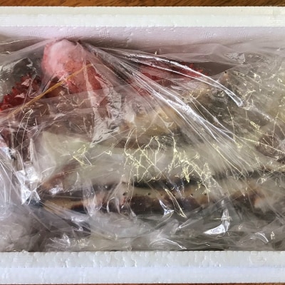 【北海道根室産】生たらばがに脚カット300g・ボイル花咲ガニ1尾 B-59004