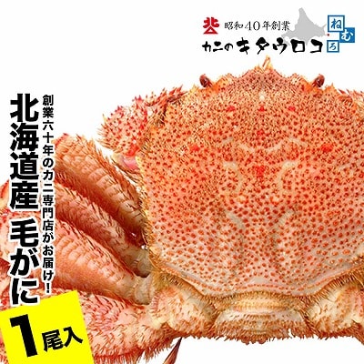 毛がに550g～650g前後×1尾 B-25027
