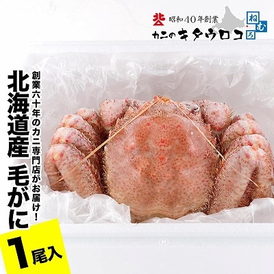 毛がに550g～650g前後×1尾 B-25027