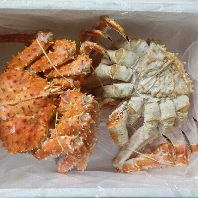【北海道根室産】本タラバガニ2尾(計1.6kg前後) D-57049