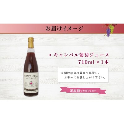無地熨斗 ぶどうジュース(キャンベルアーリー)710ml 1本 [No.5613-0864]