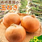 【先行受付】令和8年産北海道十勝本別町嶋崎農園の玉ねぎ約5kg