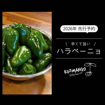 ��s��t 2026�N9����{�ȍ~���� �_�ƒ��� �|�h �̂肽�� �n���y�[�j�� 2kg �R�W�J�W����