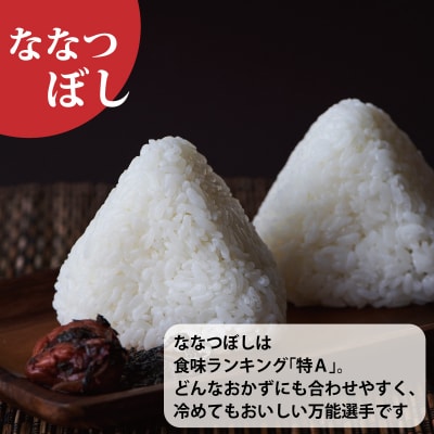 特Aランク 北海道米ななつぼし(無洗米)5kg『令和7年産』【A-017】