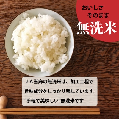 特Aランク 北海道米ななつぼし(無洗米)5kg『令和7年産』【A-017】