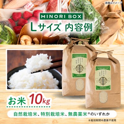 糸島産 肉 米 野菜 果物 厳選詰め合わせ MINORI BOX L [AOP015]