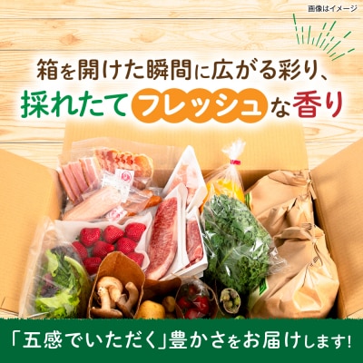 糸島産 魚 米 野菜 果物 厳選詰め合わせ MINORI BOX S [AOP019]