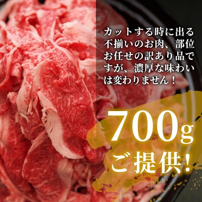 【12/21入金分まで年内発送】 飛騨牛 切り落とし 700g 訳あり 牛肉 養老ミート