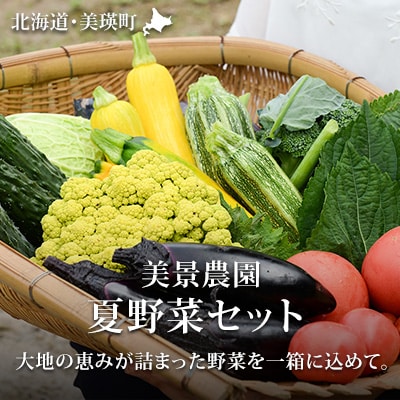 ≪令和8年産先行受付!≫美景農園　夏野菜セット
