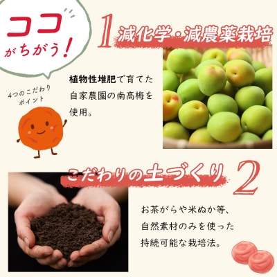 【数量限定】 伊豆 天城農園 青い鳥 グランパ 梅干し(160g×4パック)