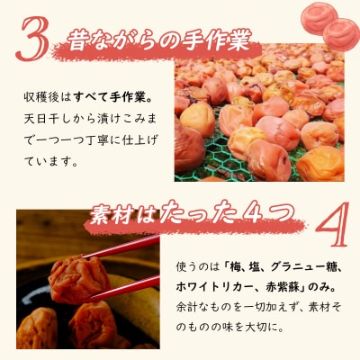 【数量限定】 伊豆 天城農園 青い鳥 グランパ 梅干し(160g×4パック)