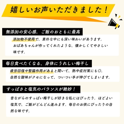 【数量限定】 伊豆 天城農園 青い鳥 グランパ 梅干し(160g×4パック)