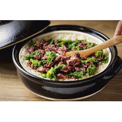 濃い だし 専用 削り節 だしせん 80g×20袋(a26-012)