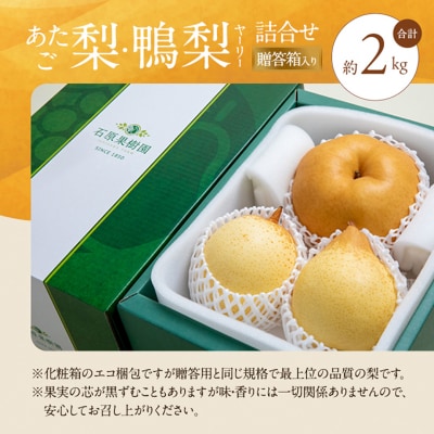 あたご梨・鴨梨(ヤーリー)詰合せ 合計約2kg 贈答箱 岡山県産 [No.5735-0948]