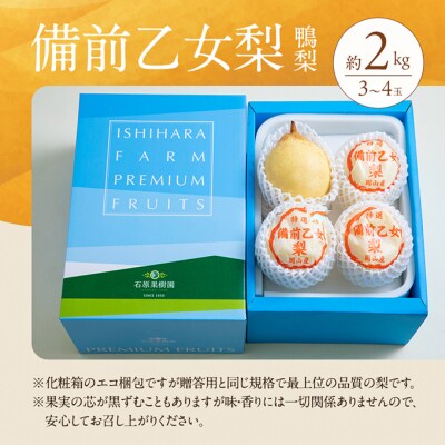 石原果樹園　備前乙女梨(鴨梨) 3～4玉 合計約2kg  岡山県産 [No.5735-1158]