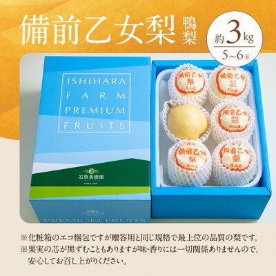 石原果樹園　備前乙女梨(鴨梨) 5～6玉 合計約3kg  岡山県産 [No.5735-1159]
