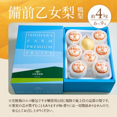  石原果樹園　備前乙女梨(鴨梨) 6～9玉 合計約4kg  岡山県産 [No.5735-1160]