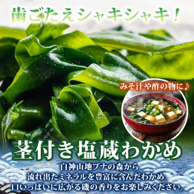 つるつるわかめ・塩わかめセット[No.5296-0012]
