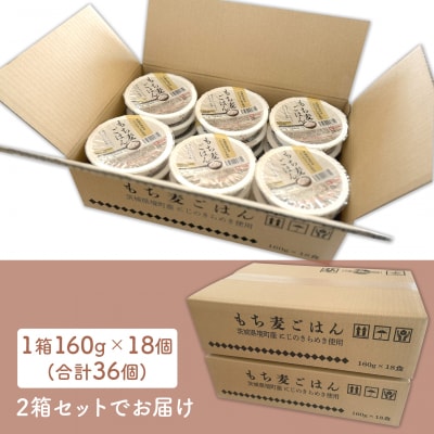 【最短翌日発送】茨城県境町産 にじのきらめき使用 もち麦ごはん 160g×36個