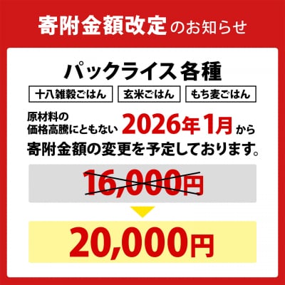【最短翌日発送】茨城県境町産 にじのきらめき使用 もち麦ごはん 160g×36個