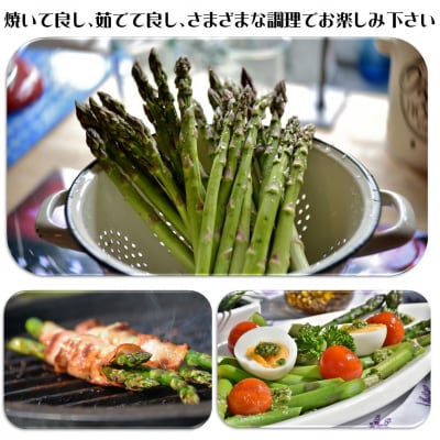 <2026年5月中・下旬よりお届け>グリーンアスパラ約1kg (2L・L混合)SBTM008