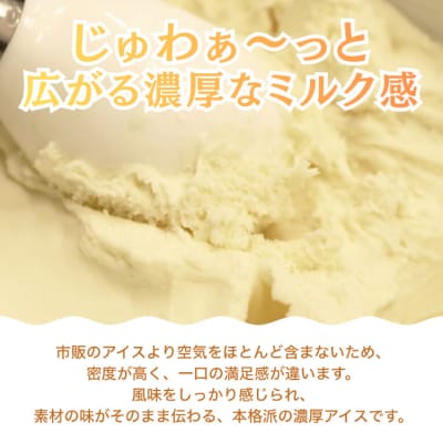 プロテインアイス あいすたんぱっくん しおみるく味 100ml × 6個 [20565965]