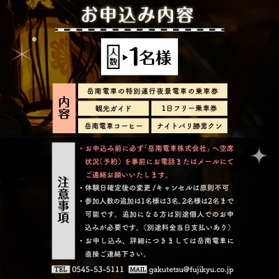 全駅から「富士山が望める」地方鉄道 ～岳南電車応援事業～I 岳南電車の夜景電車体験ツアー券1名様