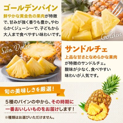 【訳あり】石垣島産 パイナップル 詰め合わせ 約8kg (6～20個)《2026年4月下旬発送》