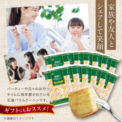 エースベーカリー 厚切りバウムクーヘン 9個 ×12袋　個包装 バームクーヘン[134T01]