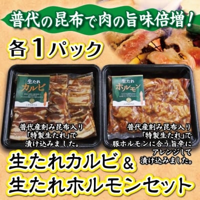 生たれカルビ&生たれホルモンセット(各1パック) 焼肉用