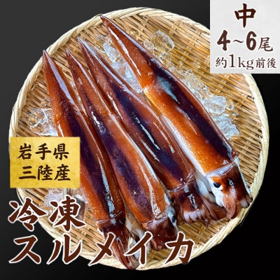 冷凍スルメイカ 中 4本～6本 (1kg前後) いか塩辛 いかめし