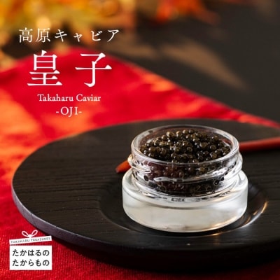 Takaharu Caviar(たかはるキャビア)『皇子』20g×5瓶セット　tt-515