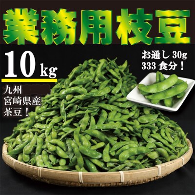 宮崎県産えだまめ 大容量10kg　特産品開発576