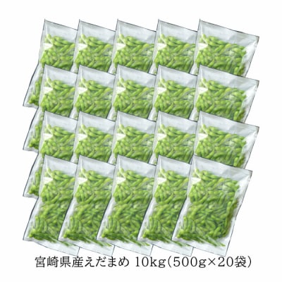 宮崎県産えだまめ 大容量10kg　特産品開発576