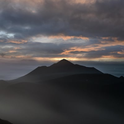 国産薬草茶 きりしま日和 スギナ茶ティーバッグ 1.5g×60包　yy-653