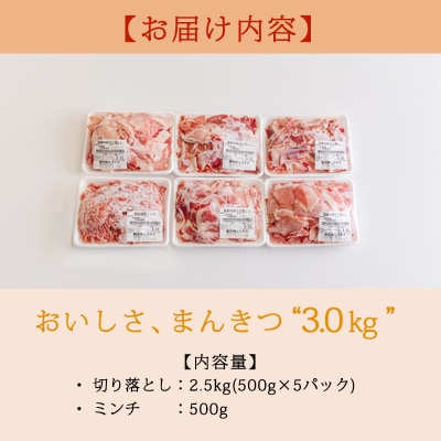 高原育ちの宮崎県産豚肉切り落とし&ミンチ3kg[アレンジ色々万能食材]　TF766