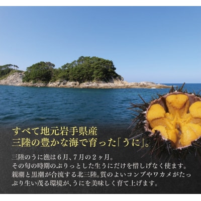 三陸産 甘塩うに 瓶詰 60g 5本 ミョウバン不使用 国産