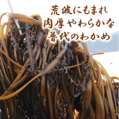 磯の香り「塩蔵わかめ」(塩蔵わかめ200g・中芯付き塩蔵わかめ200g各1袋セット) 